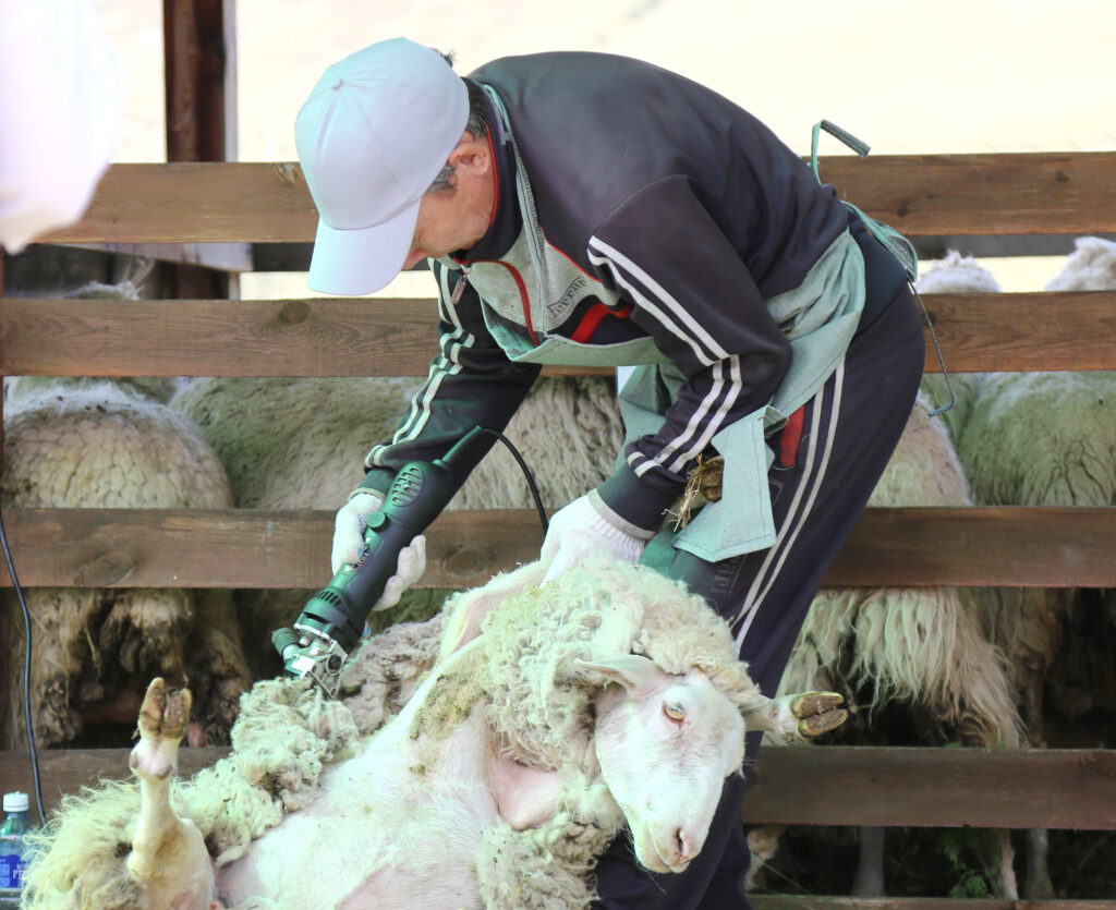 Дудаков Сергей Владимирович — Фото
