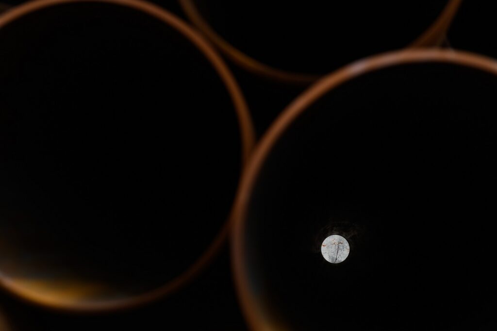 Часовитин Дмитрий Викторович — Фото