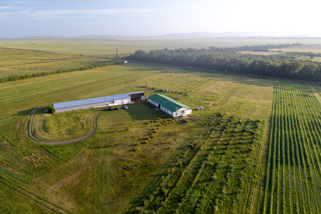Нерозя Александр Сергеевич — Фото