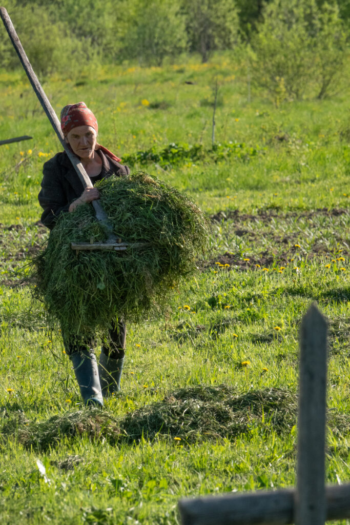 Кротов Андрей Васильевич — Фото