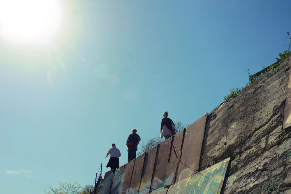 Дмитриева Елена Витальевна — Фото