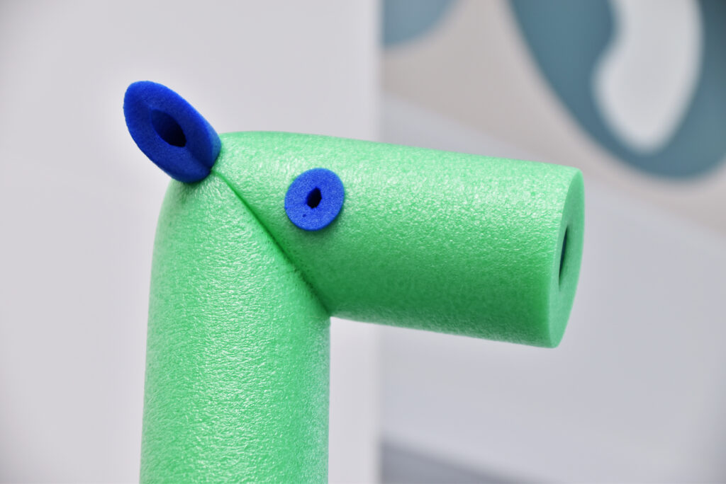 Ануфриева Анастасия Евгеньевна — Фото