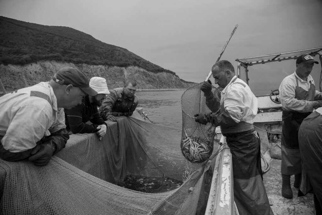 Гомолко Мария Алексеевна — Фото