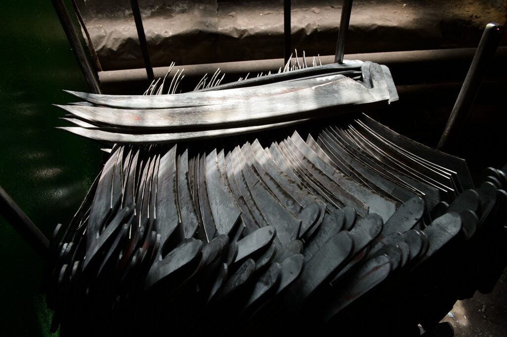 Часовитин Дмитрий Викторович — Фото