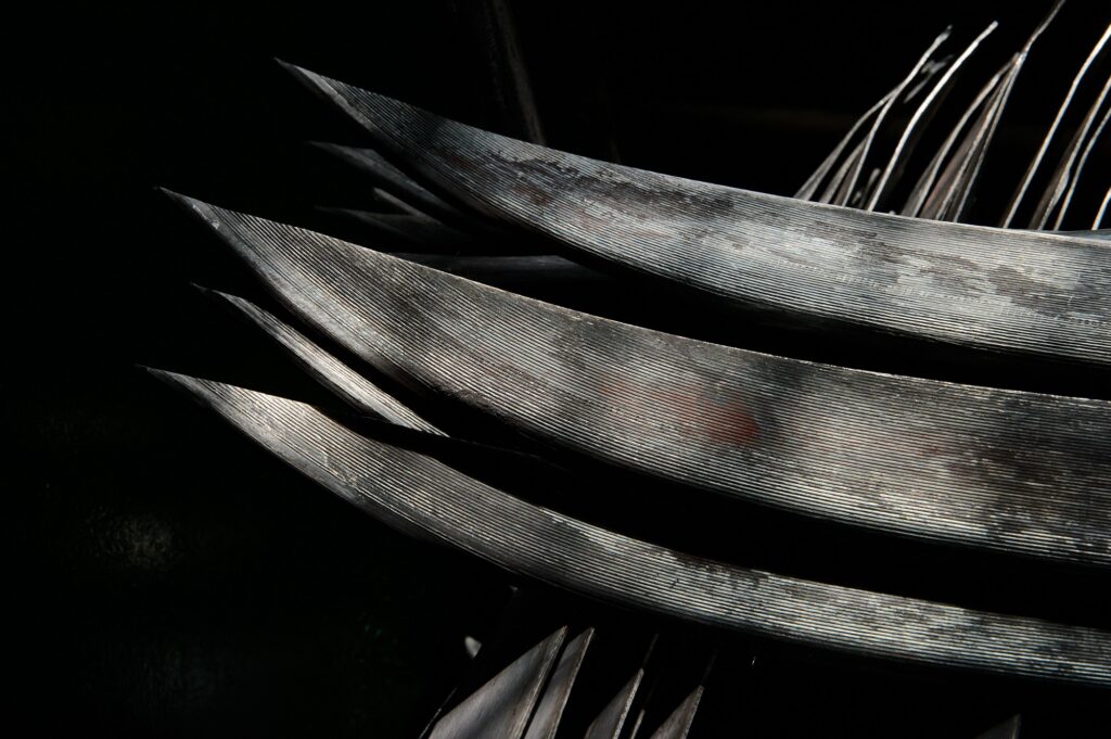 Часовитин Дмитрий Викторович — Фото