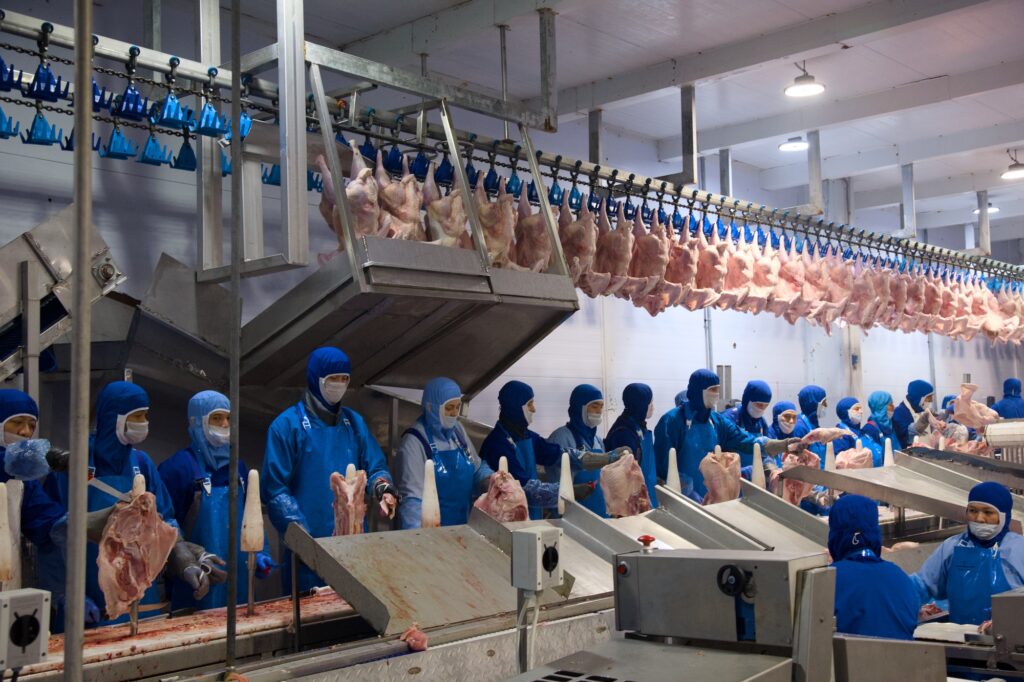 Юдин Никита Игоревич — Фото