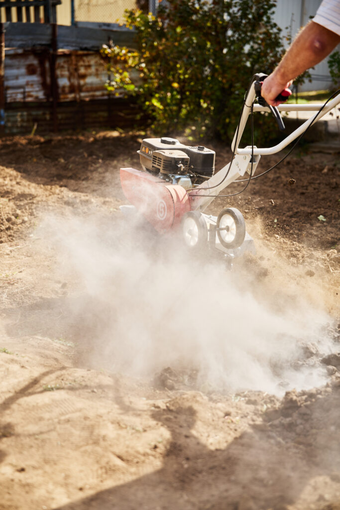 Соломатина Елизавета Владимировна — Фото