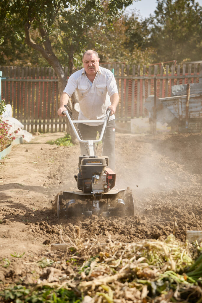 Соломатина Елизавета Владимировна — Фото