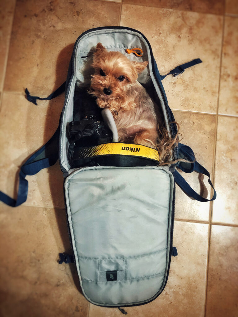 Каунис Анна Сергеевна — Фото