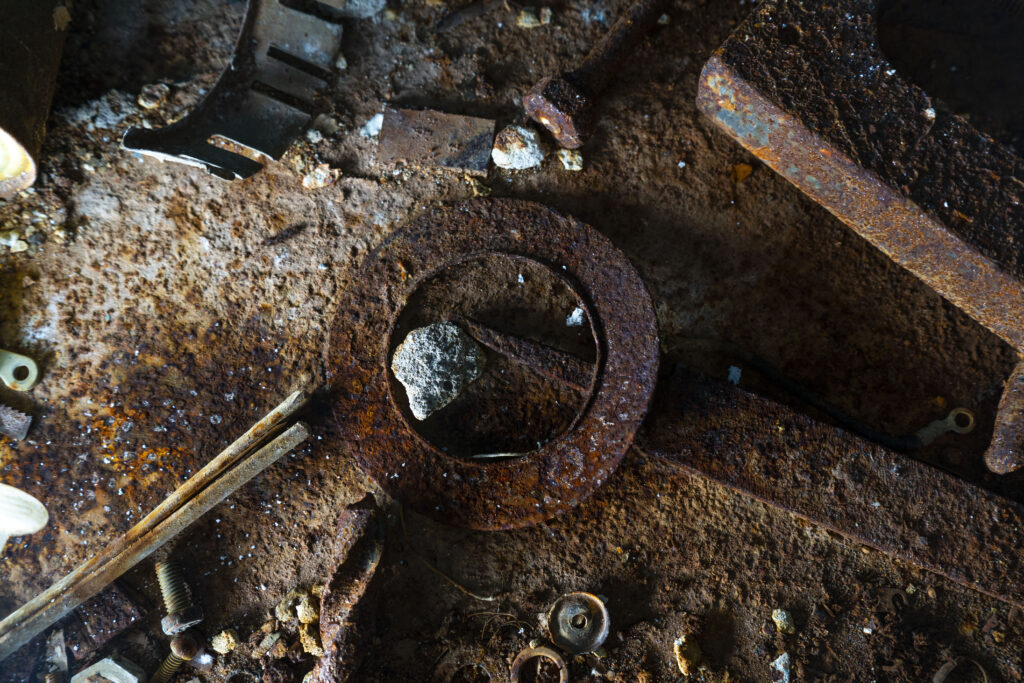 Гомолко Мария Алексеевна — Фото