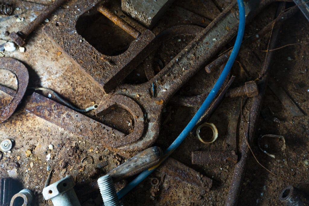 Гомолко Мария Алексеевна — Фото