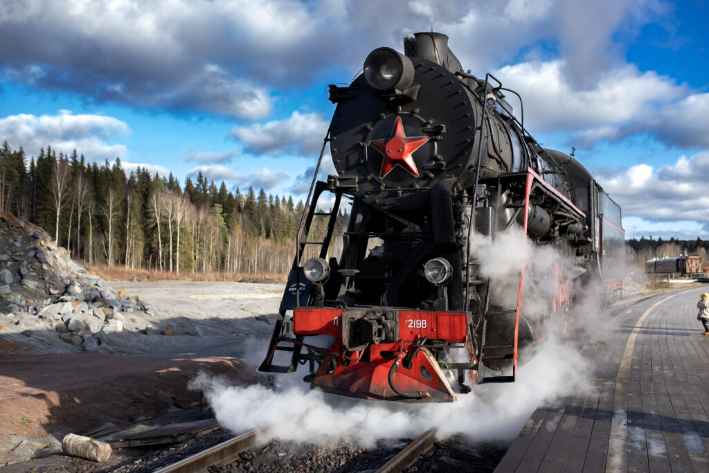 Писарева Светлана Юрьевна — Фото