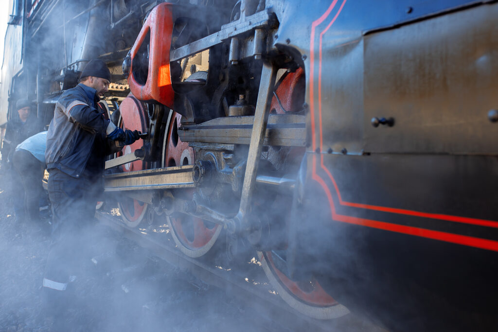 Писарева Светлана Юрьевна — Фото