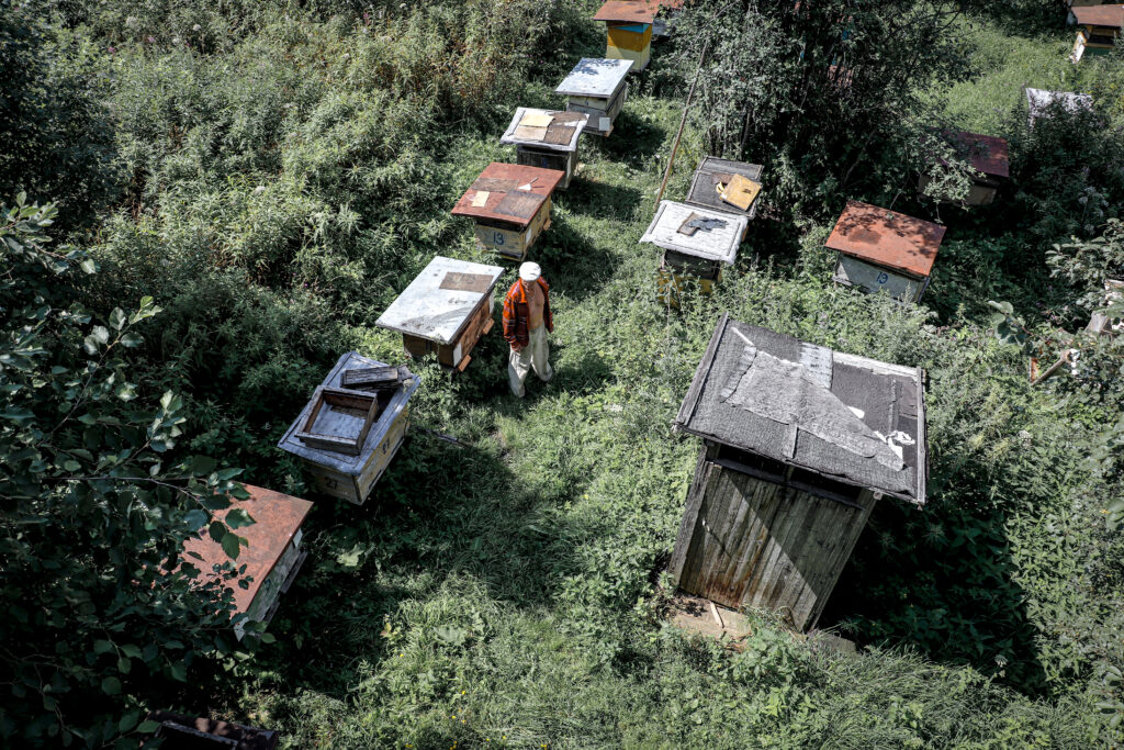 Улемская Татьяна Николаевна — Фото