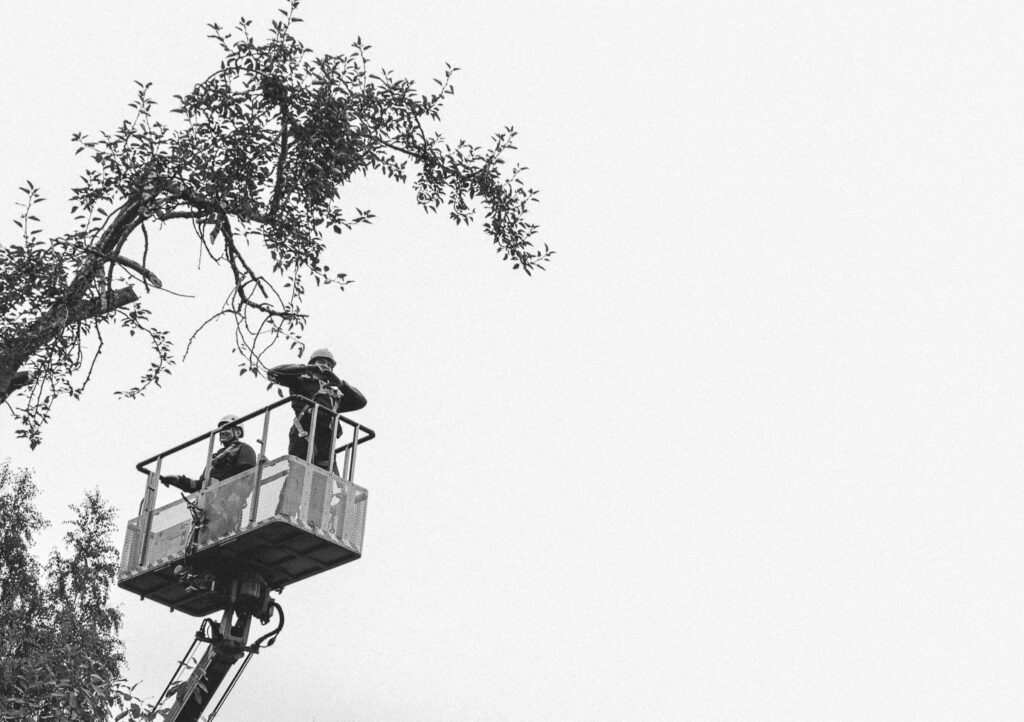 Бугрова Виолетта Викторовна — Фото