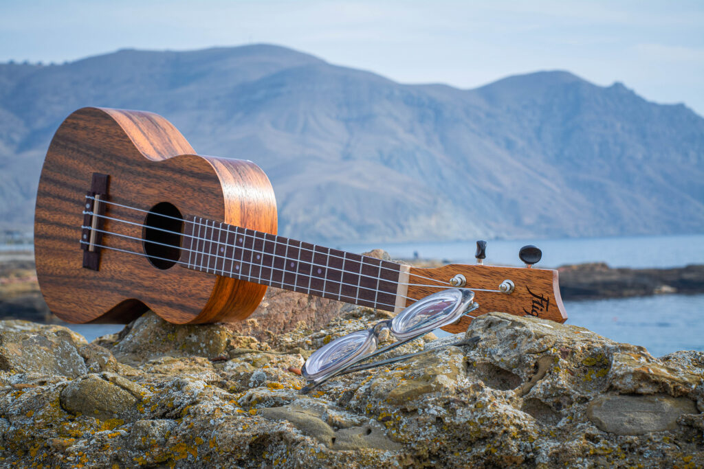 Смецкой Александр Иванович — Фото
