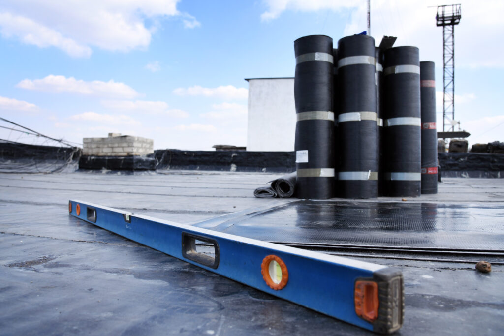 Бронза Дмитрий Александрович — Фото