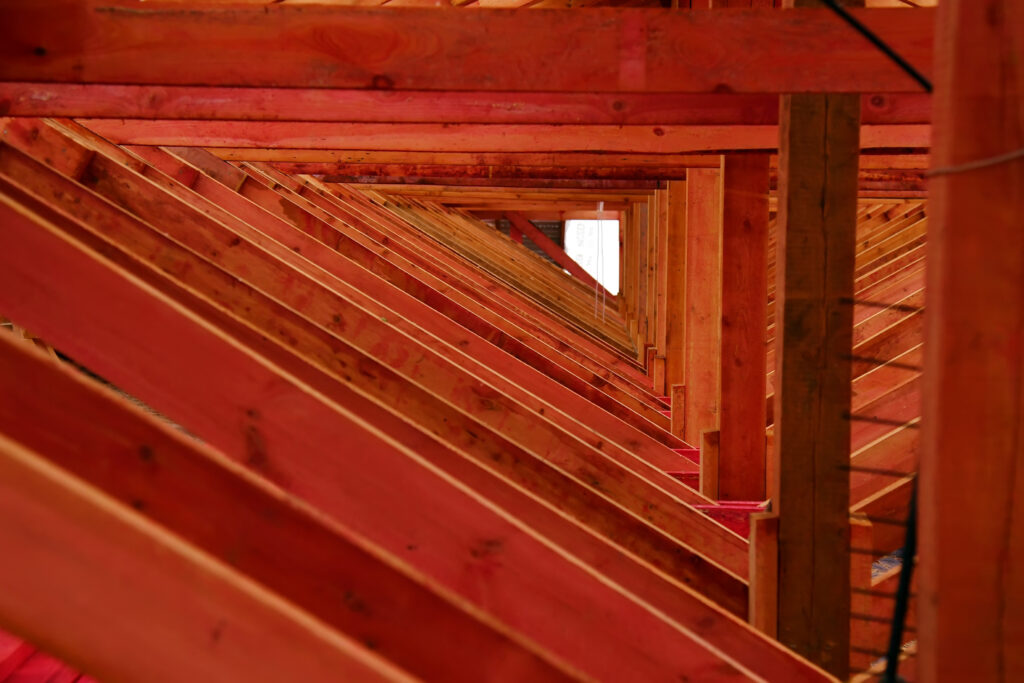 Бронза Дмитрий Александрович — Фото