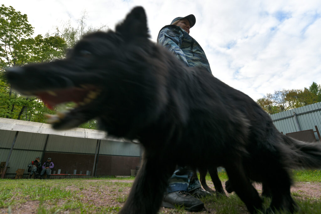 Устюжанин Артем Борисович — Фото