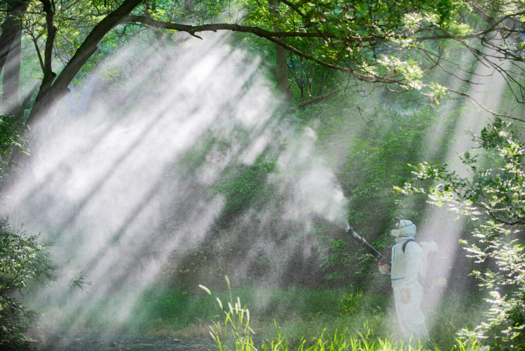 Блоцкая Юлия Викторовна