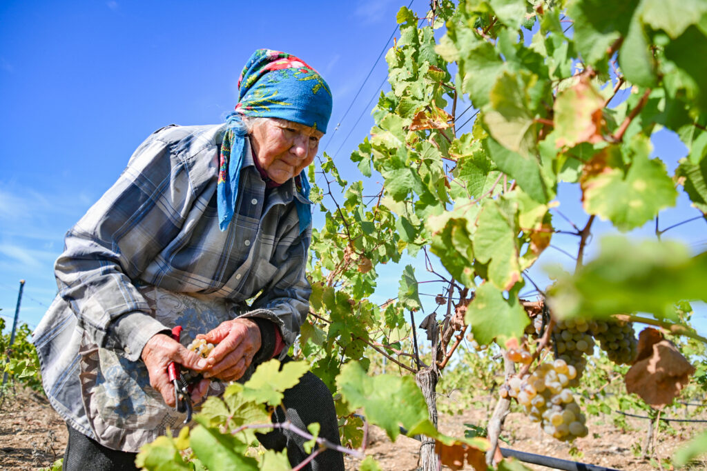 Блоцкая Юлия Викторовна — Фото