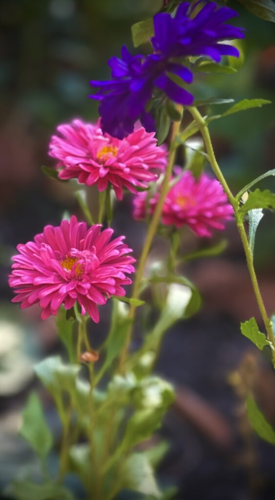 Козлова Марина Александровна — Фото