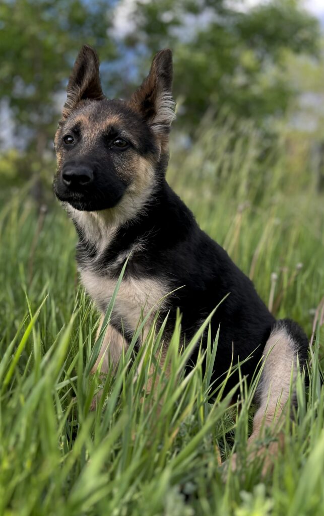 Козлова Марина Александровна — Фото