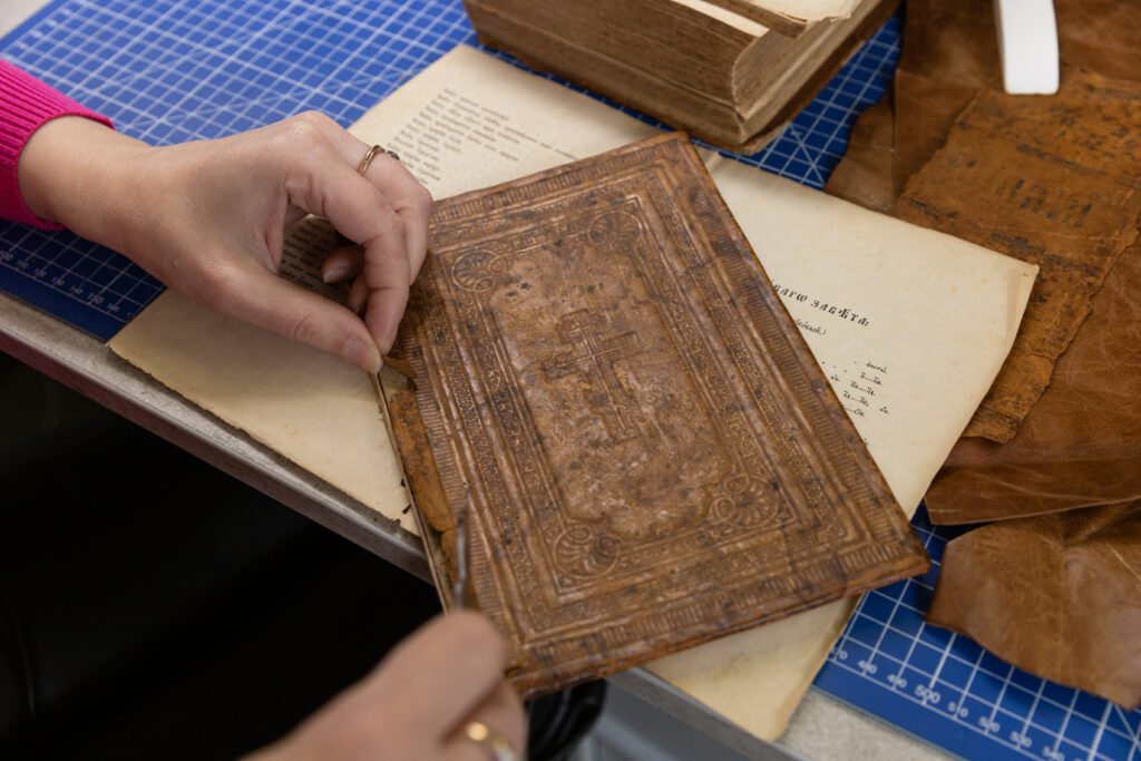 Дехтерев Сергей Николаевич — Фото