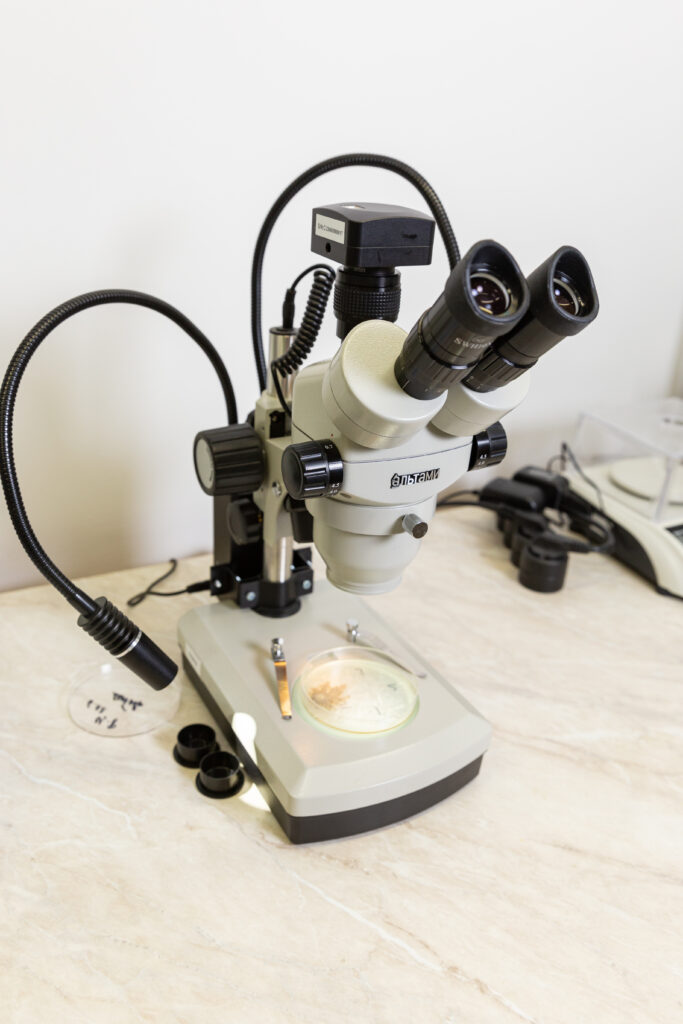 Дехтерев Сергей Николаевич — Фото