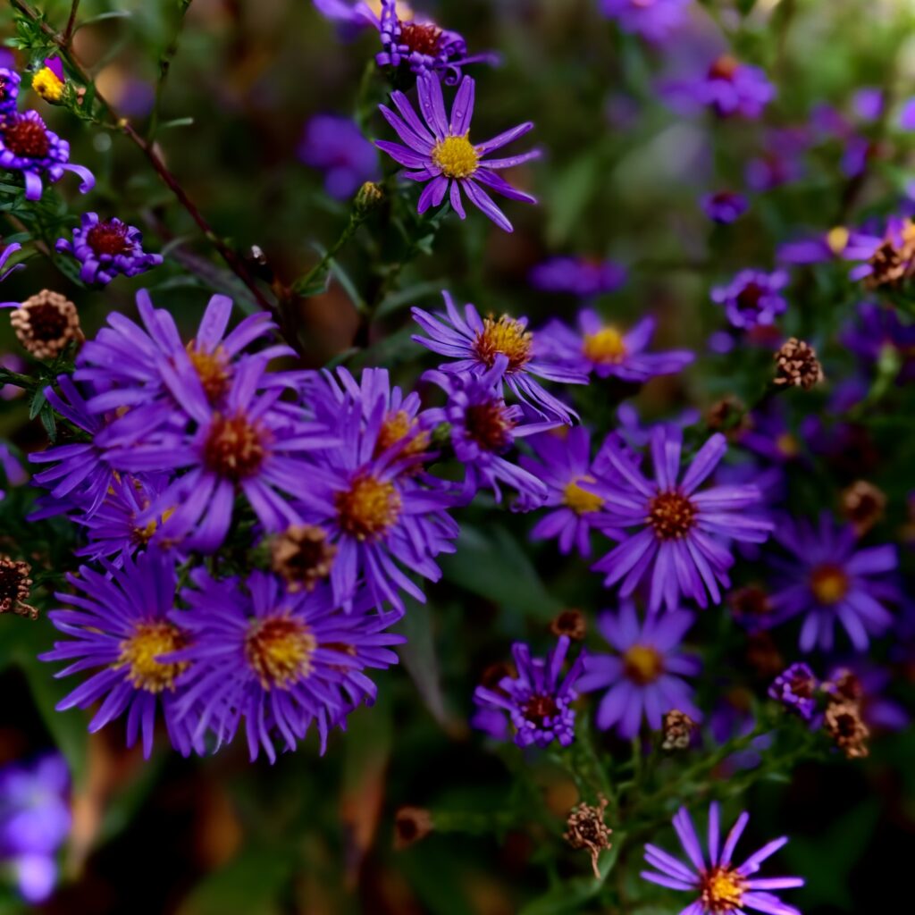 Козлова Марина Александровна — Фото