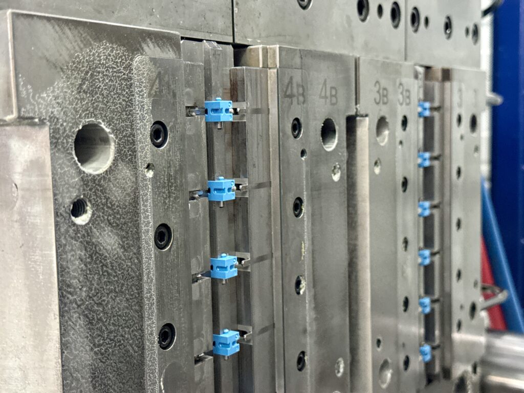 Блоцкая Юлия Викторовна — Фото