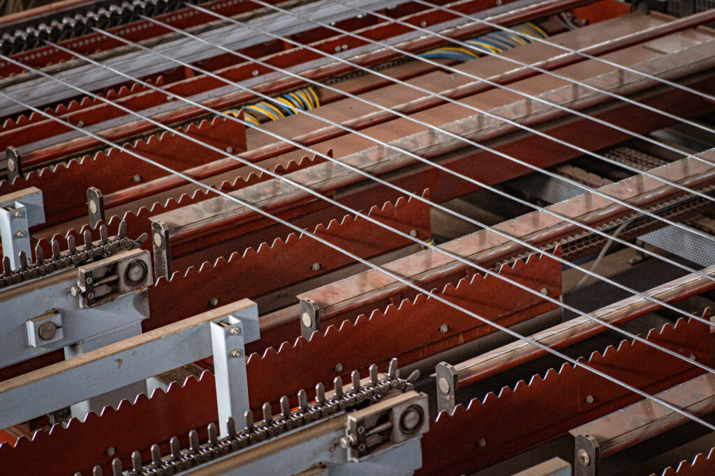 Бузова Елизавета Юрьевна — Фото