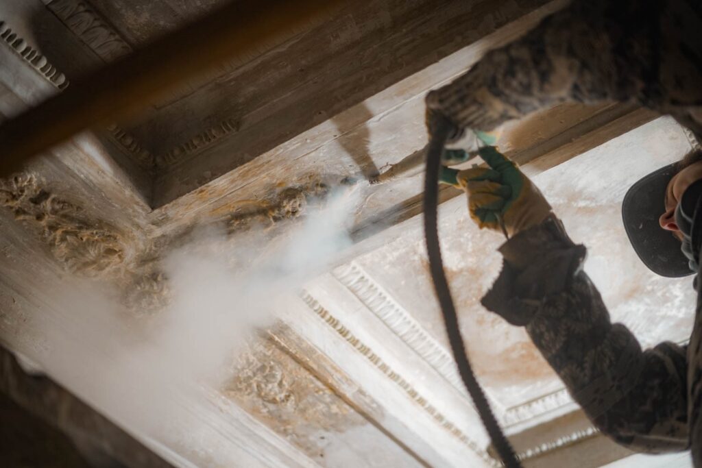 Ковалёва Дарья Витальевна — Фото