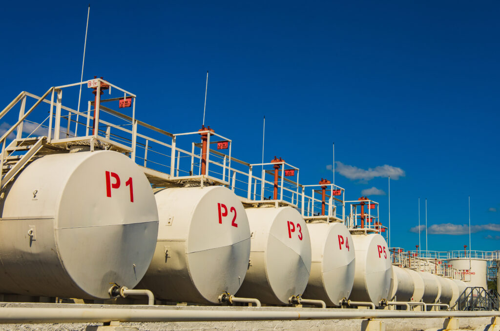 Кушпилева Марина Юрьевна — Фото