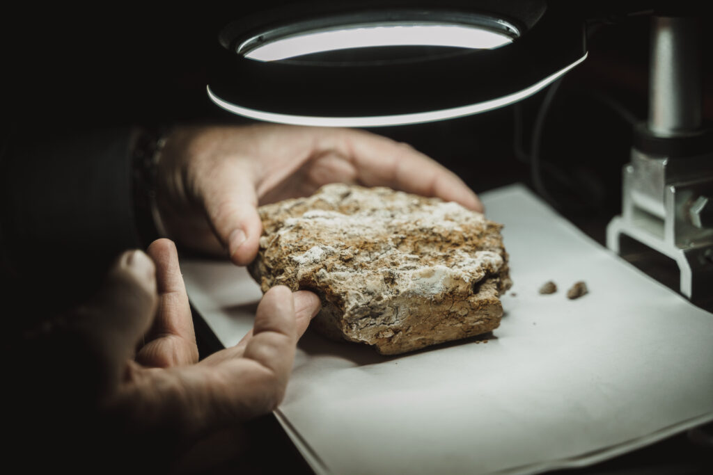 Филиппова Сабина Рамизовна — Фото